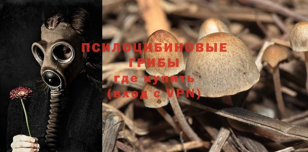бошки Арсеньев