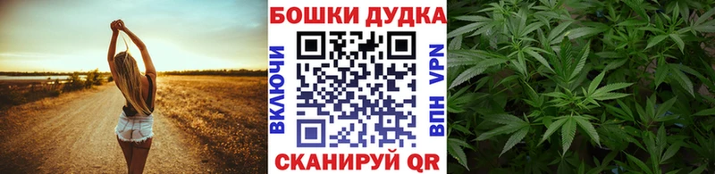 omg tor  цена   Суоярви  Бошки марихуана SATIVA & INDICA 